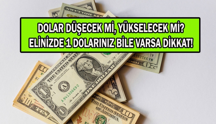 1 doları bile olanlar dikkat! Tek tek açıklandı! Dolar nereye gidiyor? 