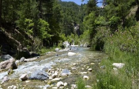 Antalya Kanyon Milli Parkı'nın yolu yenileniyor!