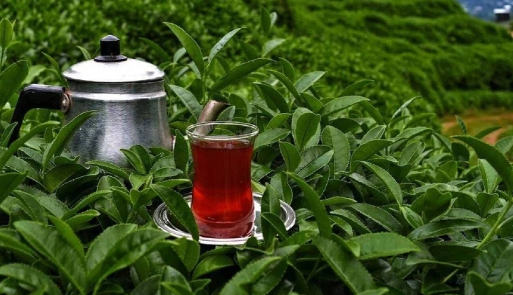 Çaya yine zam geldi! Çaya yapılan zam yüzde 110’u geçti...