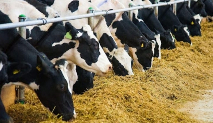 Tarım Müdürlüğü kampanya başlattı! Deprem bölgesinde buna acil ihtiyaç var!