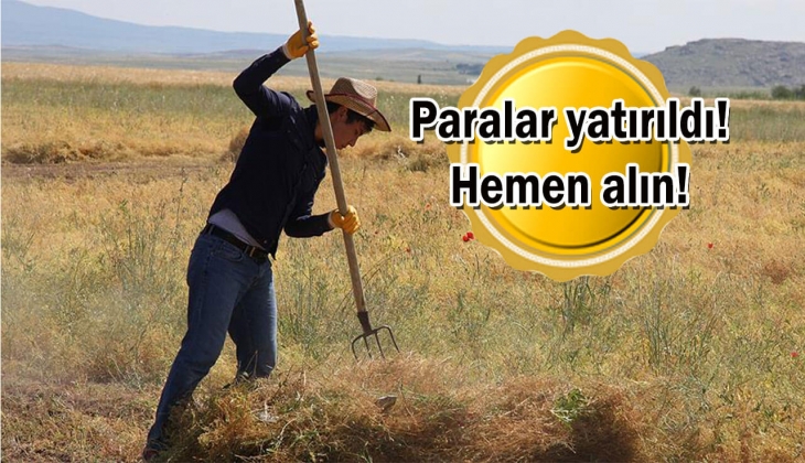 Çiftçilere resmen Temmuz 2023 müjdesi geldi, paralar yatırıldı! Hemen hesaplarınıza bakın!