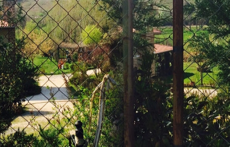 Beyazıt Öztürk Ayvalıköy den çiftlik alacak!