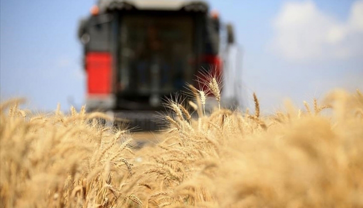 TMO'nun buğday stoku yeterli mi? Çiftçiler dikkat! Buğday çok yüksek fiyattan mı alınacak?