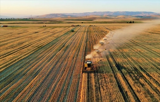 Batman Beşiri'de 11.2 milyon TL'ye icradan satılık fabrika ve arsası!