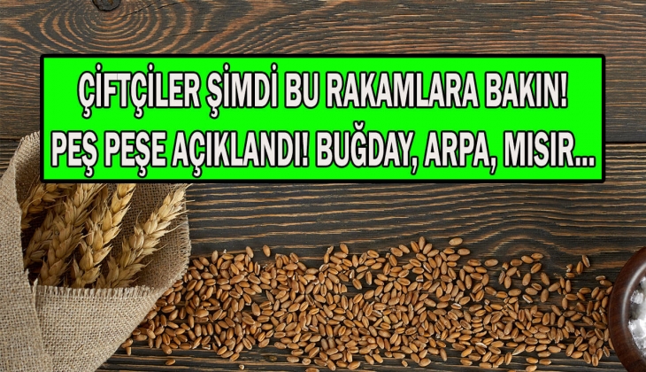 Tahıl Koridoru Anlaşması 2 ay uzatıldı! Buğday, arpa, mısır fiyatlarında son durum ne? Borsalarda fiyatlar arttı mı?