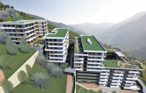 Bulut Orman projesi başladı!