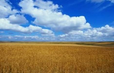 Arsa vergisi hangi ayda ödenir?