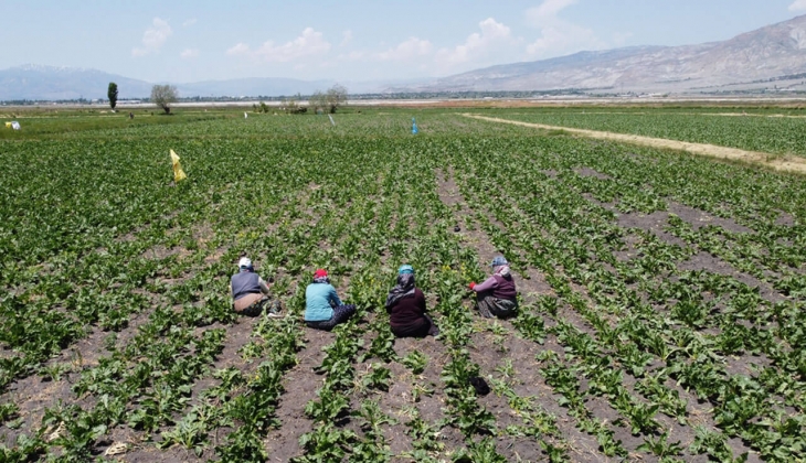 Çiftçiler dikkat! Mazot ve gübre desteğinde şok! Mazot ve gübre desteği ne zaman ödenecek?