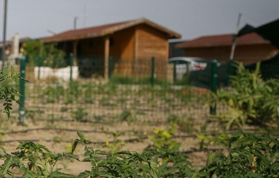 Ankara Sincan da hobi bahçeleri yıkıldı!