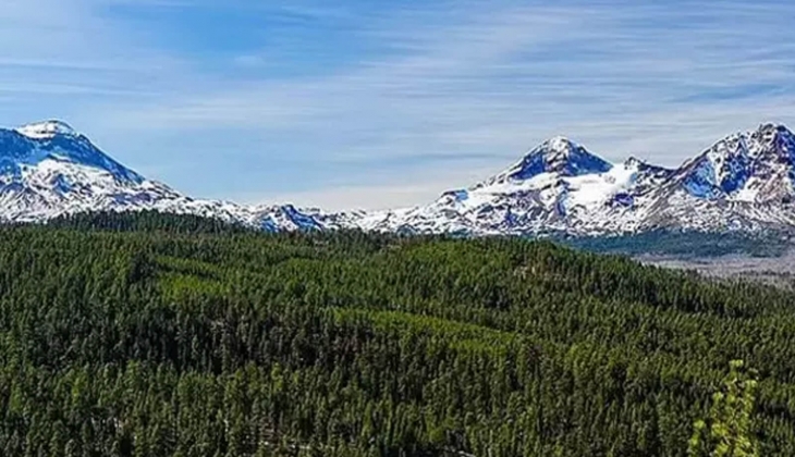 Tarihin en büyük ikinci arsa alımı ülkeyi ayaklandırdı! Çinli milyarder gizlice 198 bin dönümlük orman almış...