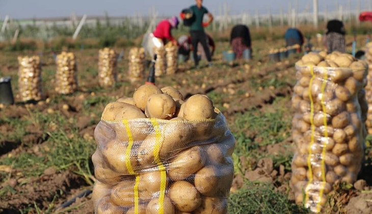 Patateste bir yıllık stok tamam! En ucuz patates Antalya Hali nde 3 TL! 28 Eylül 2022 fiyat listesi