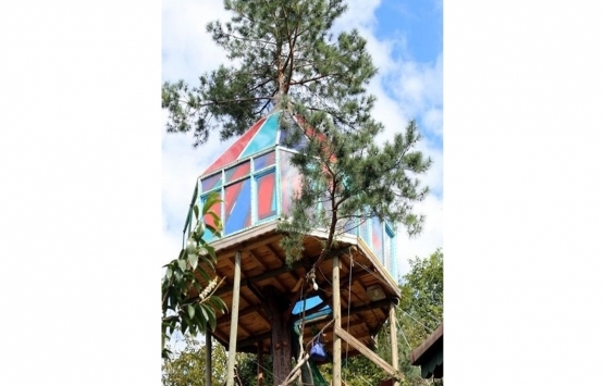 Artvin deki ev görenleri hayran bıraktı!