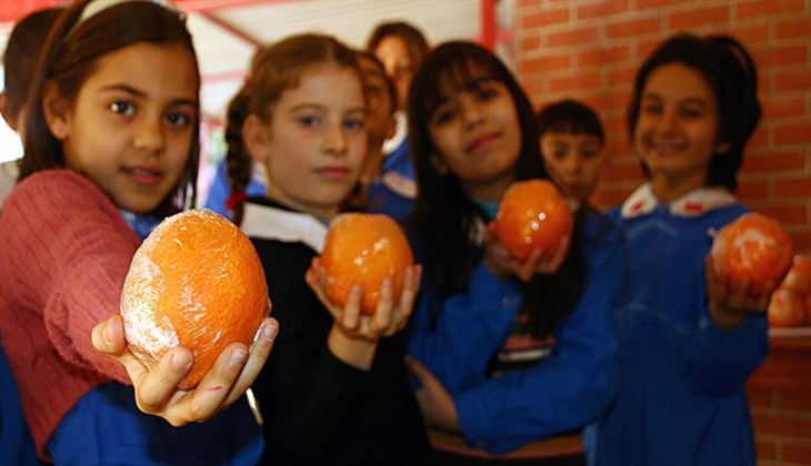 Beslenme çantasının aylık maliyeti 770 TL oldu! 1 elma 8,2 TL...