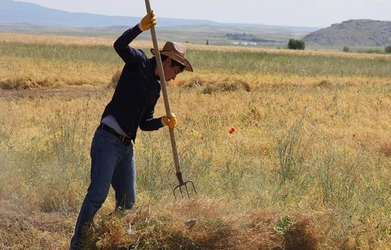 Çiftçilere müjde! Ödemeler bugün başlıyor!