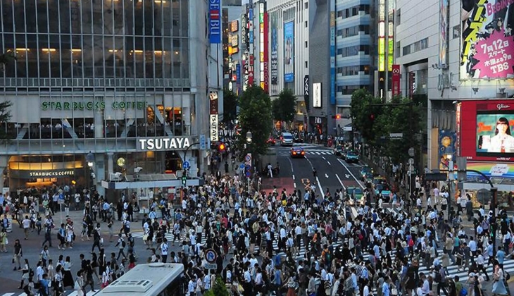 Japonya da 2023 yılında iflas eden inşat şirketlerinin sayısı 1.693 oldu!
