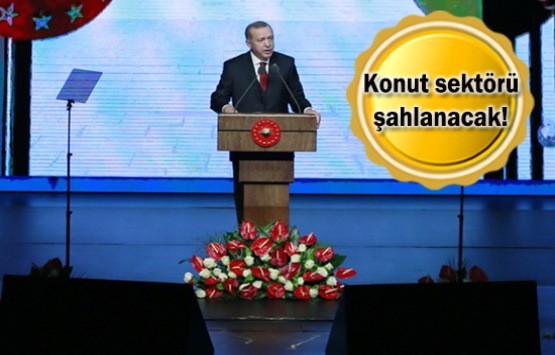 İkinci 100 Günlük Eylem Planı'ndan inşaat sektörüne neler çıktı?