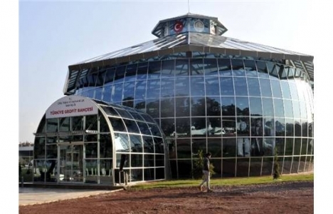 Türkiye Geofit Bahçesi