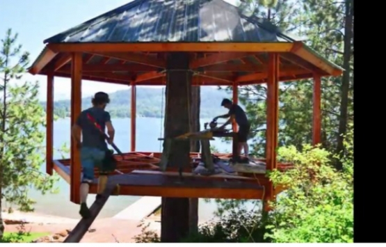 ABD deki ağaç ev görenleri hayran bırakıyor!