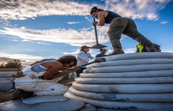 Dünya konut krizine etkili çözüm: Çevre dostu evler!