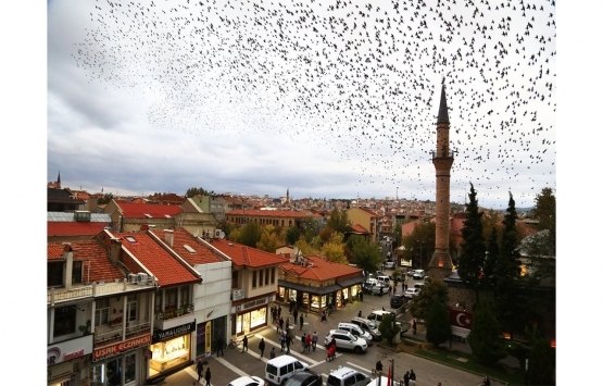Uşak'ta bazı bölgeler kesin korunacak hassas alan ilan edildi!