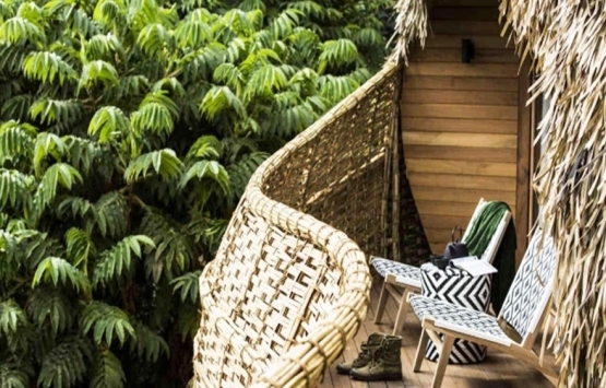 Dünyanın en iyi 10 ağaç ev oteli!