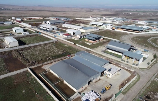 Kütahya Altıntaş Zafer OSB de 8 firmaya yer tahsisi!