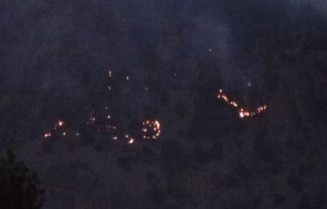 Hakkari Çukurca'daki orman yangını devam ediyor!