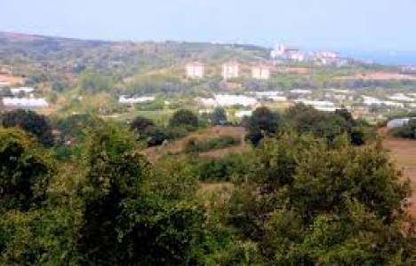 600 dönümlük Gümüşdere sebze tarlası satışa çıktı!