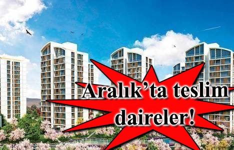 Resim İstanbul'da 222 bin TL'ye 1+1 daire!