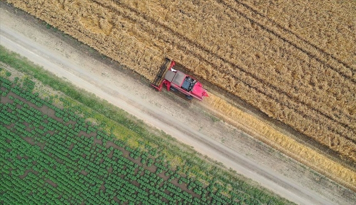 Tarımda ihracat rekoru kırıldı! Tüm zamanların en yüksek ihracatı!