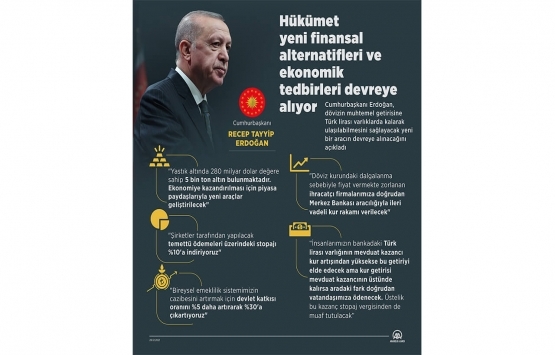 Dolar 1 gecede yüzde 33 geriledi!