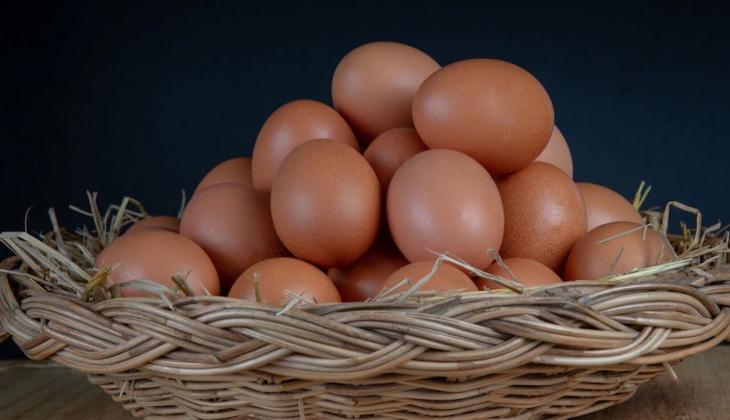 Yumurtanın 30 lu kolisi 100 TL olacak! Sektör alarm veriyor! İşte 9 Haziran 2022 güncel yumurta fiyat listesi!