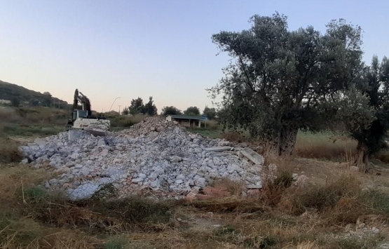 Kuşadası’nda bin 500 yıllık ağacın yanına yapılan villa yıkıldı!