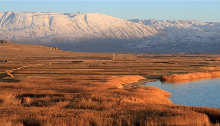 O ilde 942 metrekarelik gayrimenkul neredeyse 100 milyon TL ye satılıyor! Gören inanamadı! 