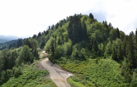 kadastral yol nasıl açılır