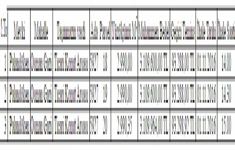 Erzurum Palandöken de 9.3 milyon TL ye satılık 3 arsa!