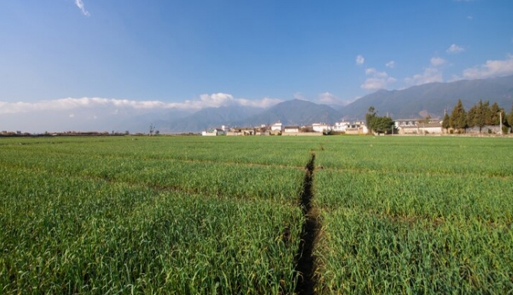 Balıkesir’de iki belediye 19 bin TL’den başlayan fiyatlarla arazi satıyor!