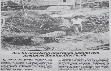 1979 yılında Suadiye de apartman yapımı için asırlık ağaçlar kesilmiş!