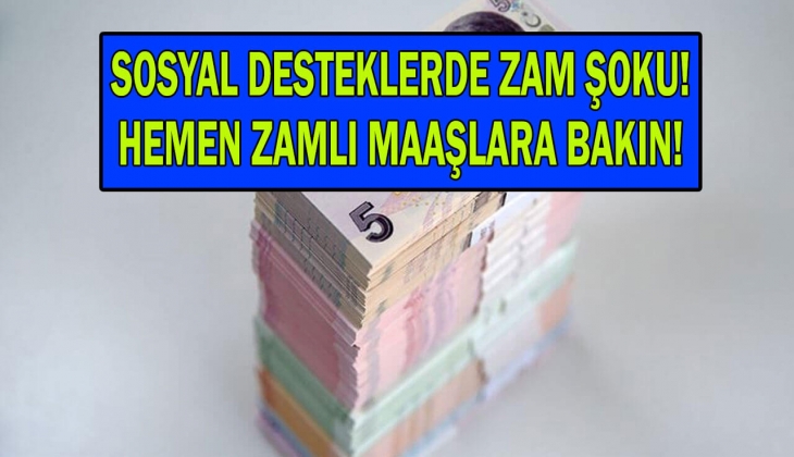 65 yaş aylığı, engelli aylığı, evde bakım parası yeni zamla kaç lira olacak? Tek tek yeni hesaplanan maaşlara bakın!