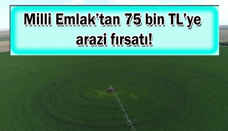 Milli Emlak o ilde 75 bin TL'ye arazi satacak! Açıklanan bu tarihi sakın kaçırmayın!