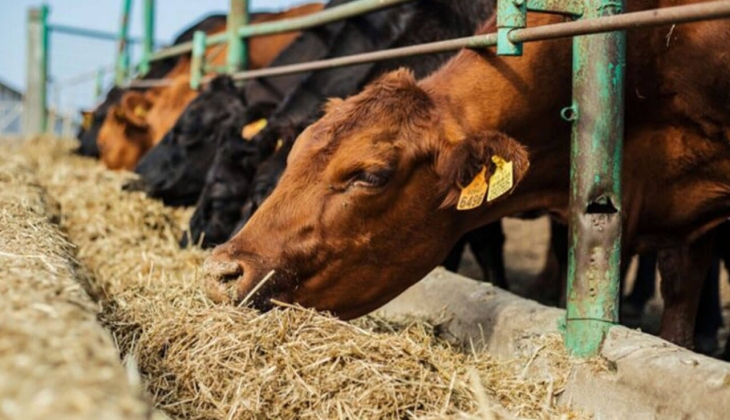 Tarım Müdürlüğü kampanya başlattı! Deprem bölgesinde buna acil ihtiyaç var!