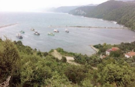 Sinop Ayancık taş ocağı ÇED raporuna tepki!