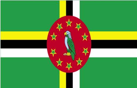 Dominikalılar Türkiye'den ev alabilir mi?