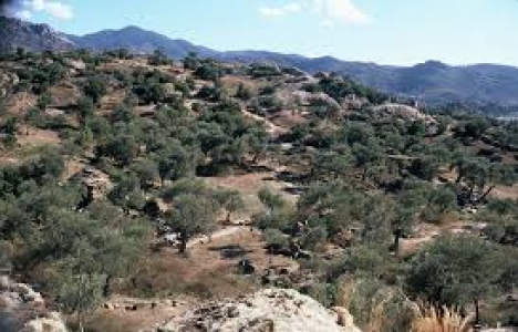 Aydın'daki Beşparmak Dağları Milli Park mı olacak?