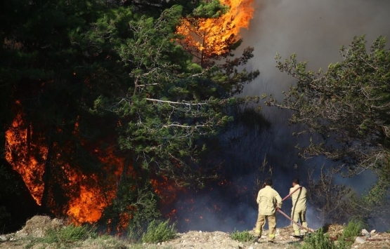 TÜROFED: Yanan yerlere tesis yapılmasın!