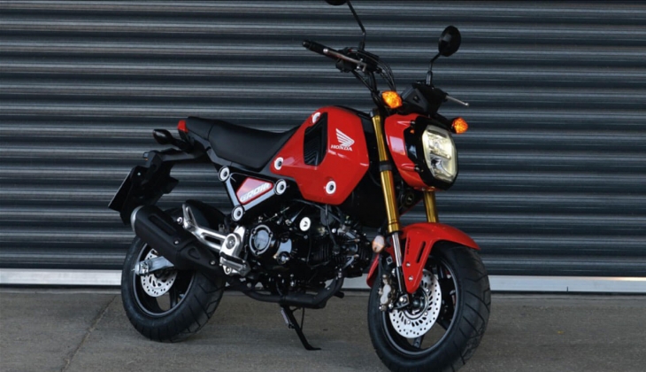 103 kilogramlık küçük dev Honda MSX125 19 Ekim 2022 fiyat listesi!