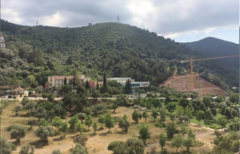 İzmir Dede Dağı'ndaki ağaçlık alana ne olacak?