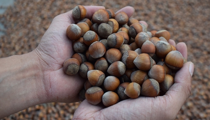 Baltacı Fındık Gıda ve ortaklarının geçici konkordato süresi 2 ay uzatıldı!