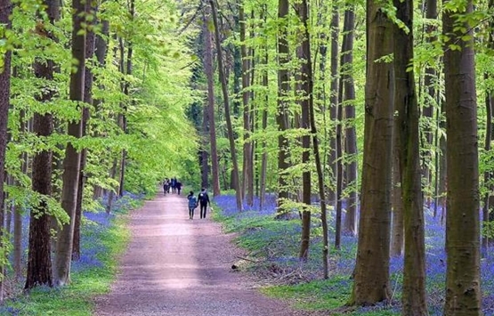 Beykoz Çayırı millet bahçesi oluyor!