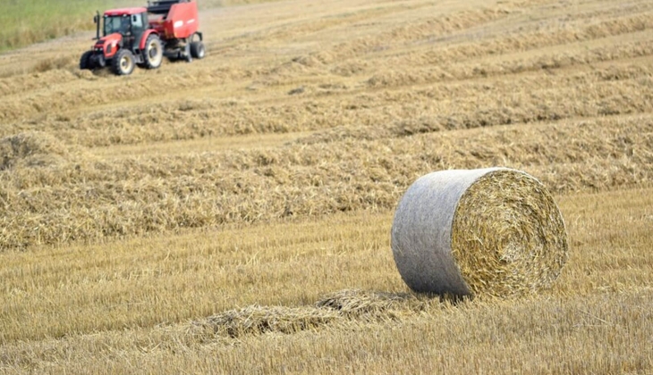 Çiftçiler hemen bakın: Buğday fiyatını açıkladı! En düşük ve en yüksek rakam! Buğday fiyatları 2024...